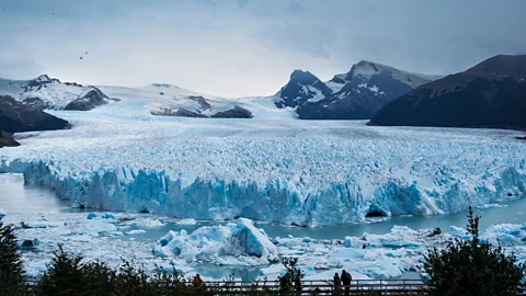 Douwe den Held Penguins and glaciers are some of the biggest attractions for travellers in Patagonia (Credit: Douwe den Held)