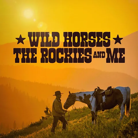 Wild Horses the Rockies and Me