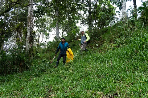 Sofia Quaglia Holding machetes to cut vegetation, Yépez and Panimboza Deleg descend the oblique slope of a large mound which was likely used for ceremonial purposes (Credit: Sofia Quaglia)