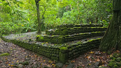 Sarah Reid Marae, sacred ceremonial sites built of stone, were once centres of religious, political and social life across Polynesia (Credit: Sarah Reid)