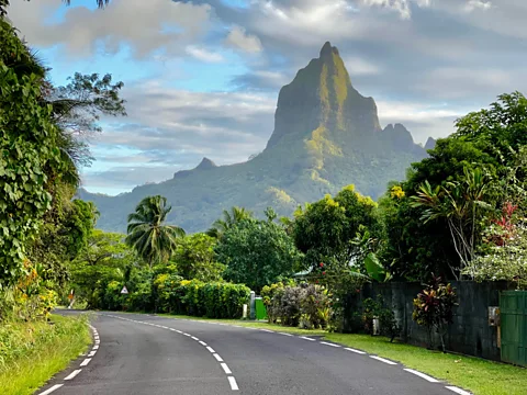 Getty Images A coastal road curves through lush tropical vegetation on Mo'orea with jagged volcanic peak in the background (Credit: Getty Images)