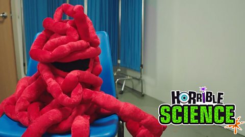 Image of Horrible Science small intestine sitting in a chair.