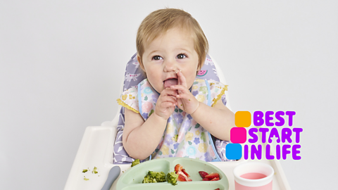Best Start in Life - Ready or not weaning quiz