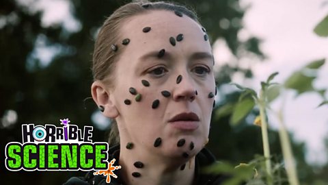 Image of police officer character with sunflower seeds on her face looking at a plant. 