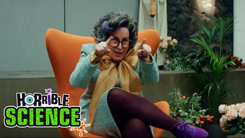 Image of Dr Big Brain's mum sitting in front of some plants pointing forward. She is wearing glasses, a light blue coat and purple tights and shoes. 