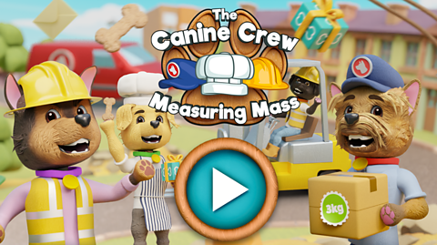 The Canine Crew: Measuring Mass