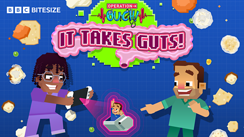 Operation Ouch: It Takes Guts!