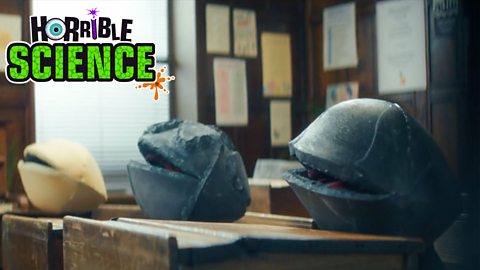 Horrible Science image of different types of talking rocks in a classroom. 