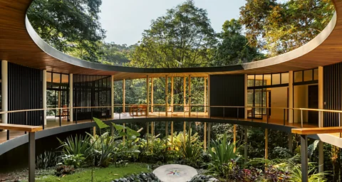 Alvaro Fonseca A curved home on stilts in a lush rainforest (Credit: Alvaro Fonseca)