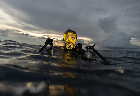 Kim Aristorenas Jialing Cai dives at night, when deep ocean animals migrate to the surface (Credit: Kim Aristorenas)
