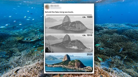 An image showing a social media claim that sea levels are not rising 