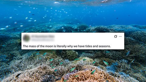An image of a social post linking the Moon to the Earth's tides 