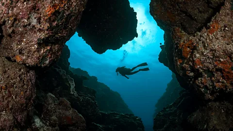 Jay Clue A scuba diver swims through a narrow canyon framed by rugged rock walls (Credit: Jay Clue)