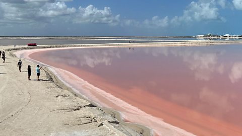 A landscape image shows one of the Las Coloradas lakes. The water is pink and laps against the shoreline, where a few people are walking along and looking out at it. 
