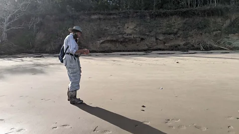 Alexandra Marvar Ruckdeschel walks Cumberland's wind-whipped beach each week, conducting surveys of wildlife (Credit: Alexandra Marvar)