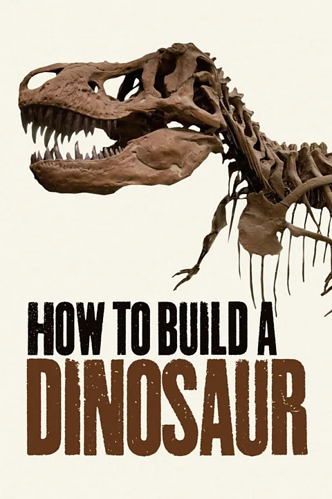 How to Build A Dinosaur