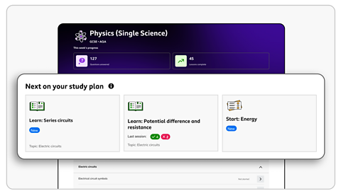 an image of the study plan