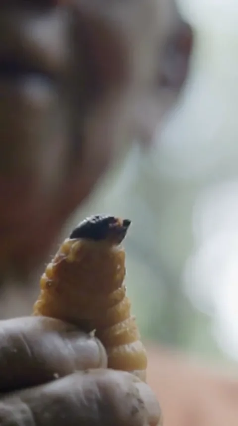 Amazon food
