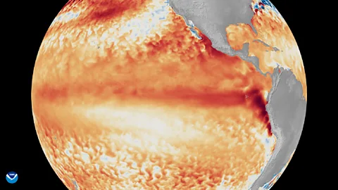 Noaa Satellites During El Niño, surface temperatures in the Pacific Ocean are consistently higher than normal (Credit: Noaa Satellites)