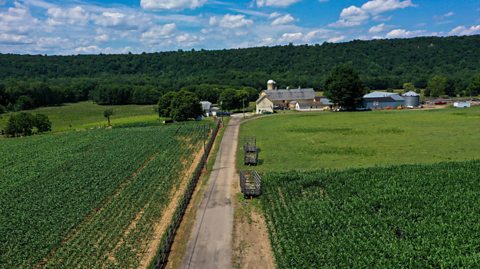 An aerial view of a vegetable farm in Hackettstown, New Jersey, showing green fields, a driving path and a farmhouse in the background