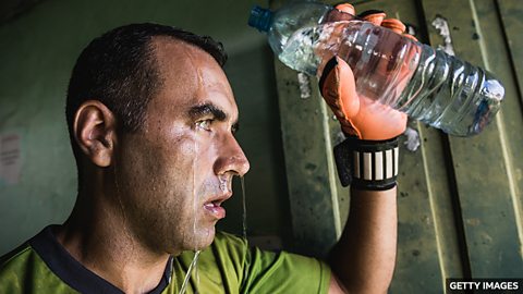 Heat, humidity and the World Cup 世界杯面临高温高湿考验