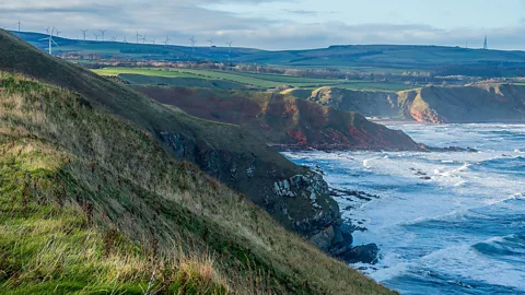 Getty Images Grassy cliffs overlooking the North Sea with rugged headlands and waves breaking below (Credit: Getty Images)