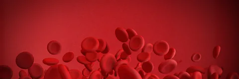 The Wonderful World of Blood