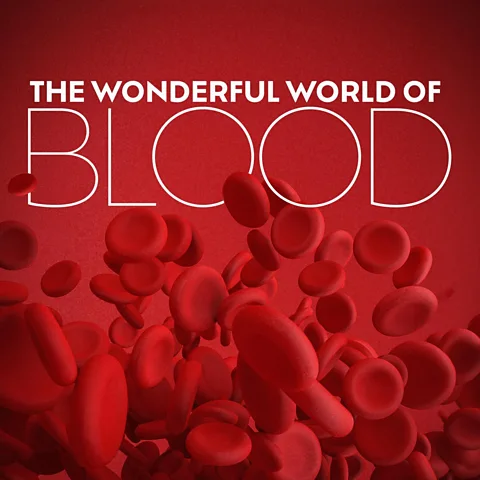 The Wonderful World of Blood Season 1