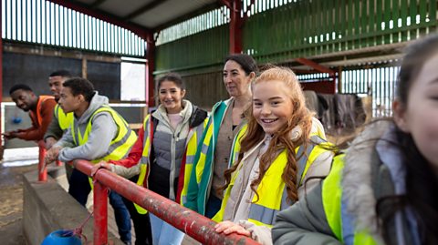 Teenagers volunteering at a farm