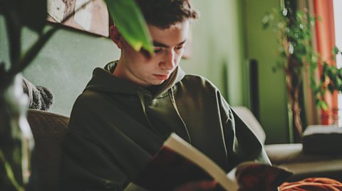 teenage boy concentrates reading a book at home