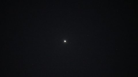 A black night sky, with a small speck of light in the centre. It's the planet Venus. 