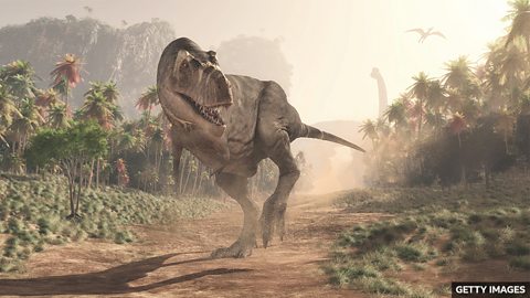 World's most expensive dinosaur 世界上成交价最高的恐龙化石