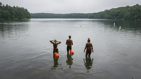 Getty Images A man dives into a pond by a grassy bank while three others swim nearby (Credit: Getty Images)