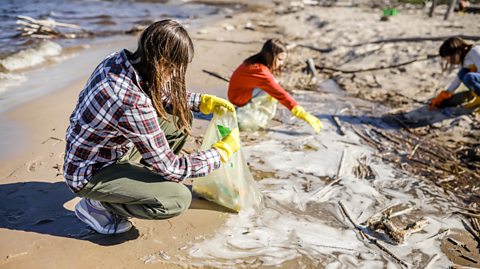children take part in a seaside clean up operation as volunteers collecting litter in bags