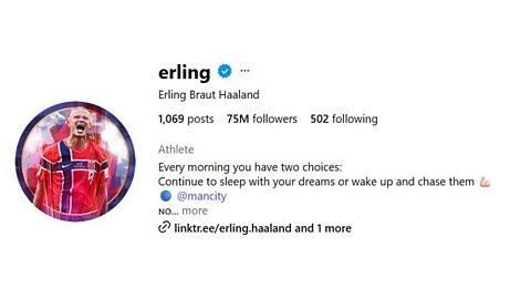 An image showing the bio of the Erling Haaland's genuine Instagram account