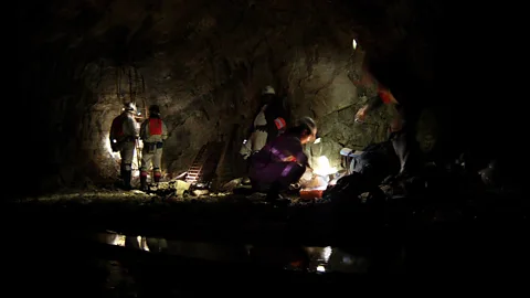 Gaetan Borgonie, Extreme Life Isyensya, Belgium Explorations deep below ground revealed far more life than scientists thought could exist down there (Credit: Gaetan Borgonie, Extreme Life Isyensya, Belgium)
