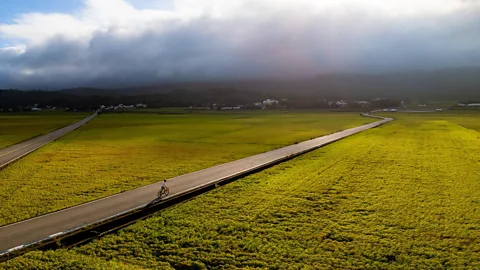 Alamy The best way to experience Taiwan is by slowly moving through it (Credit: Alamy)