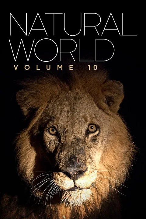 Natural World: Volume X