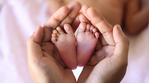 Tiny baby feet are held in the palm of adult hands