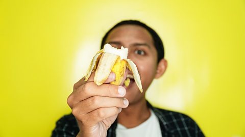 An image of someone holding up a peeled banana in front of a bright yellow background