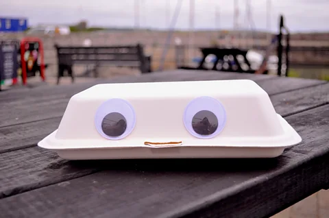 Katherine Latham Seagulls may see food packaging adorned with googly eyes as a terrifying predator (Credit: Katherine Latham)