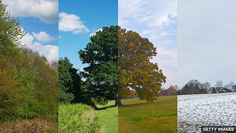 How seasons affect our moods 四季如何影响我们的情绪