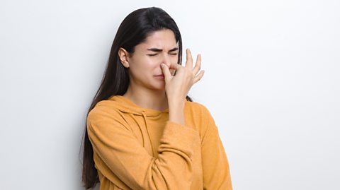 The image shows a young woman with dark hair standing against a blank white wall. She's wearing a light orange jumper. her face is scrunched up in disgust and she's holding her nose with her thumb and forefinger as if from a bad smell. 