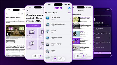 multiple screens of the bitesize app on phones