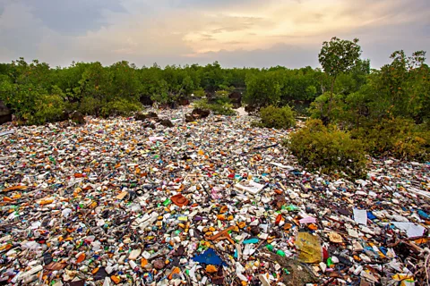 Michol Sanchez/ Mangrove Photography Awards A sea of discarded waste in the Philippines (Credit: Michol Sanchez/ Mangrove Photography Awards)