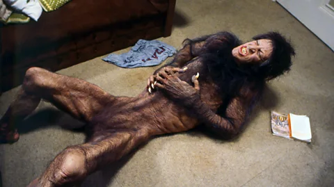 Getty Images When David is lying on the floor, the actor (David Naughton) was underneath it, with only his heavily made-up head and arms poking through (Credit: Getty Images)