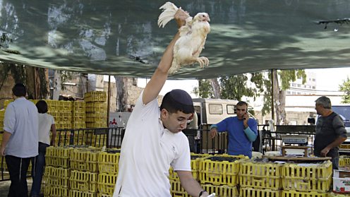 Kaparot market in Jerusalem