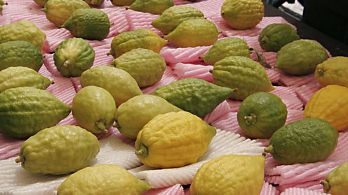 Display of ethrogs for Sukkot