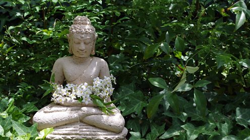 Buddha statue with flowers and plants