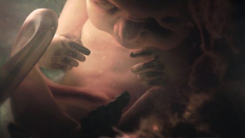 27weeks